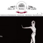 13-6-foto-site-bolshoi